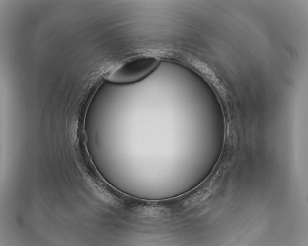 X0000111200201200907011037