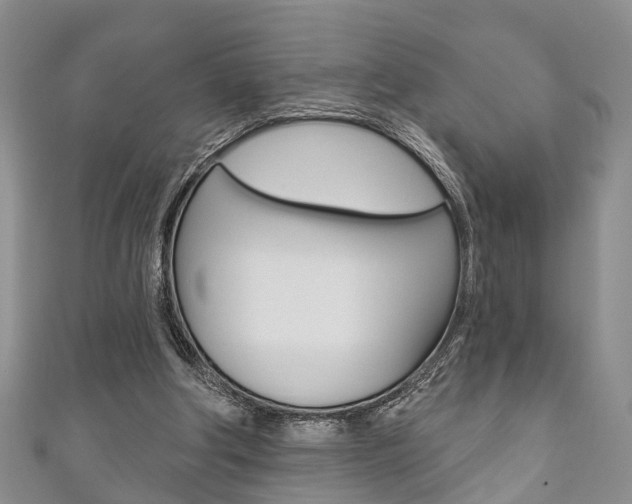 X0000111200202200907011037