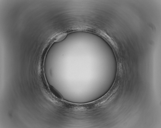X0000111200203200907011037
