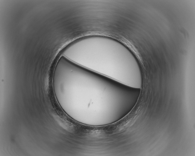 X0000111200204200907011037