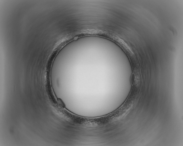 X0000111200207200907011037