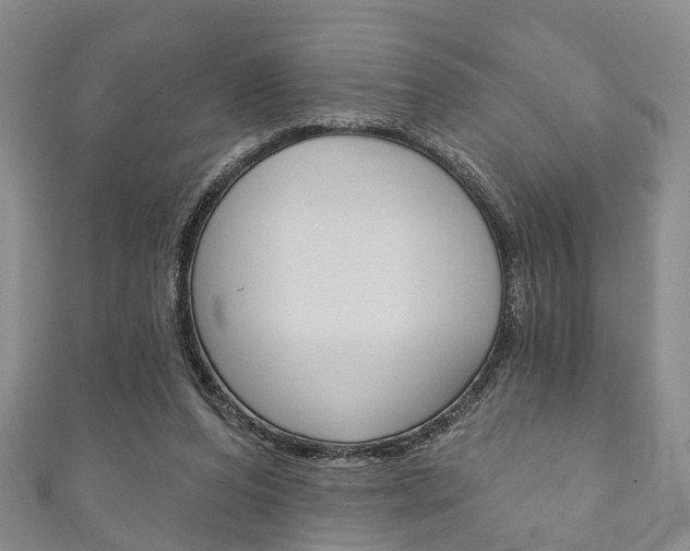X0000111200208200907011037