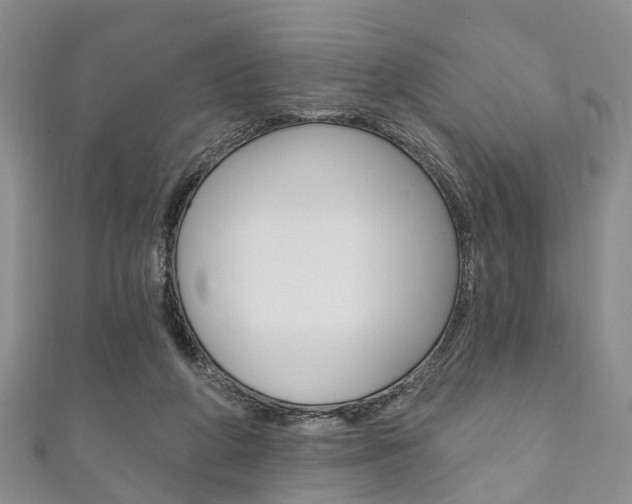 X0000111200210200907011037