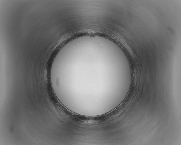 X0000111200212200907011037
