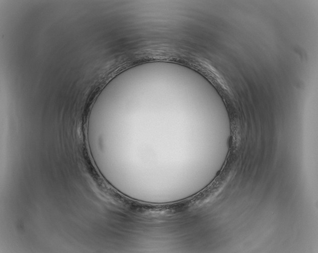 X0000111200213200907011037