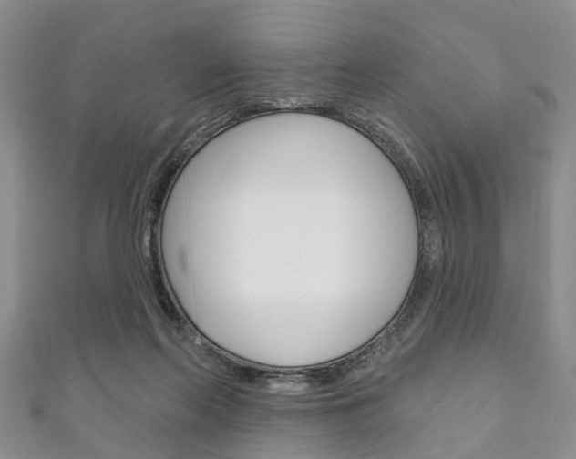 X0000111200214200907011037