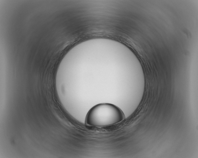 X0000111200215200907011037