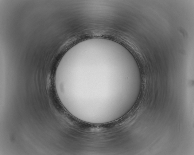 X0000111200216200907011037