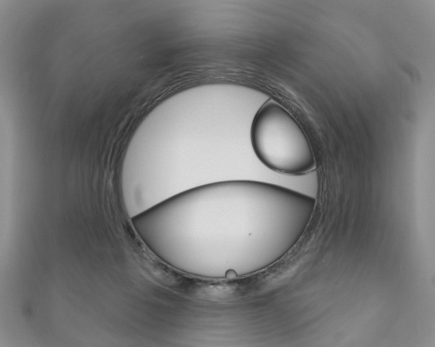 X0000111200217200907011037