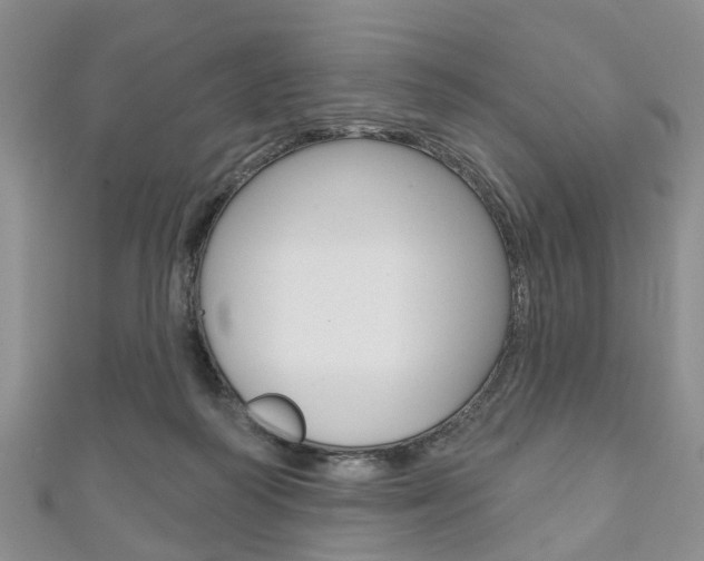 X0000111200218200907011037