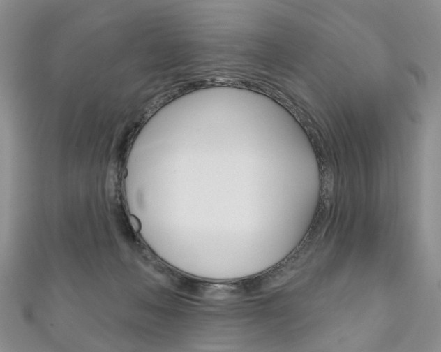 X0000111200222200907011036