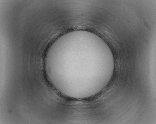 X0000111200224200907011036