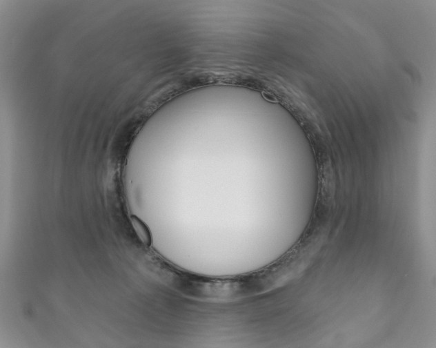 X0000111200225200907011036