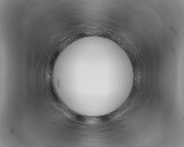 X0000111200226200907011036