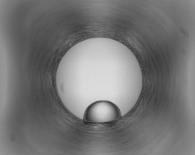 X0000111200229200907011036