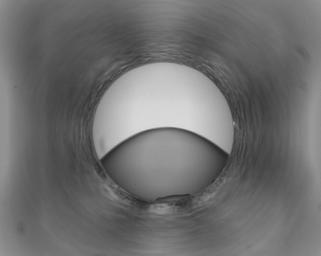 X0000111200231200907011036