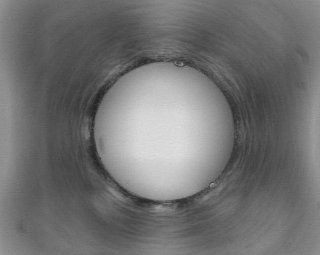 X0000111200232200907011036