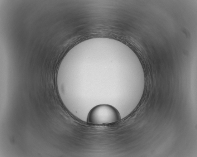 X0000111200233200907011036