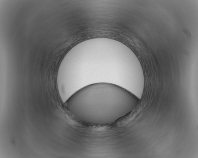 X0000111200235200907011036