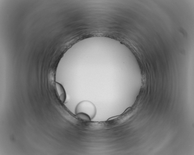 X0000111200238200907011036