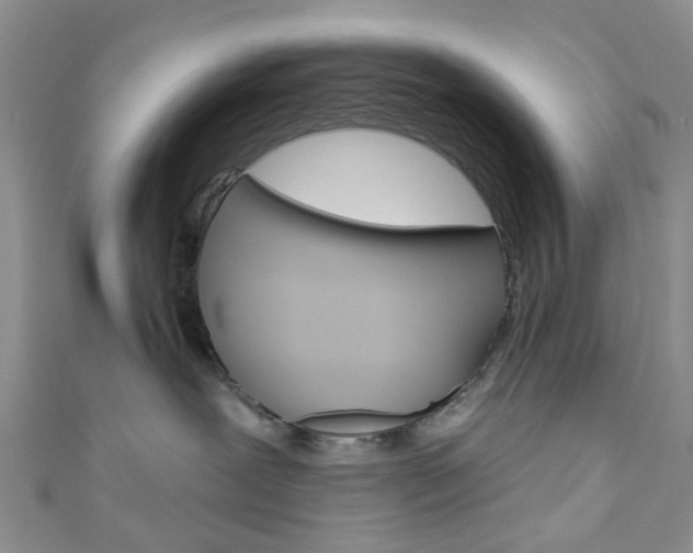 X0000111200239200907011036