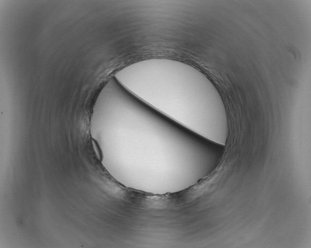 X0000111200240200907011036