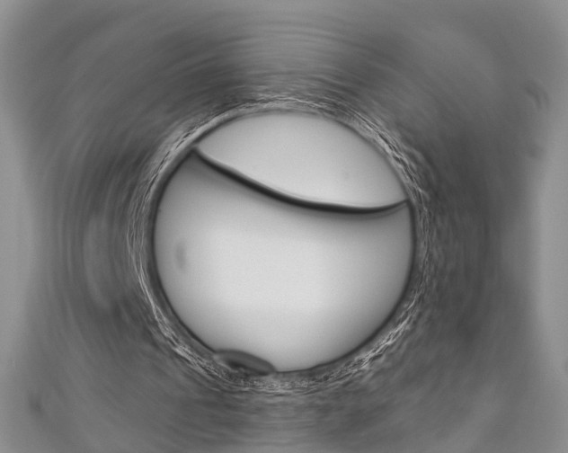 X0000111200241200907011035