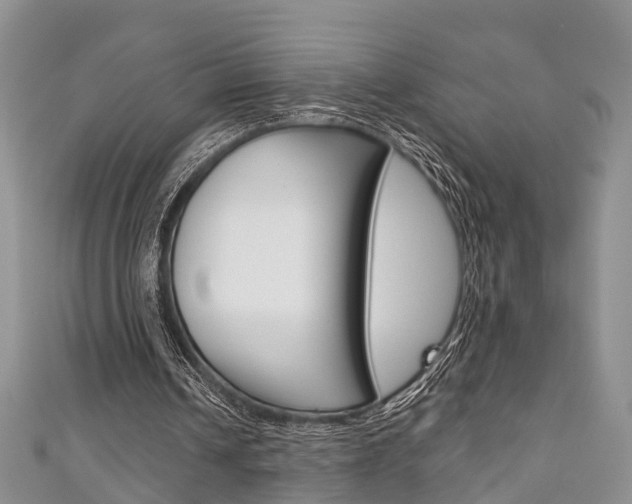 X0000111200242200907011035