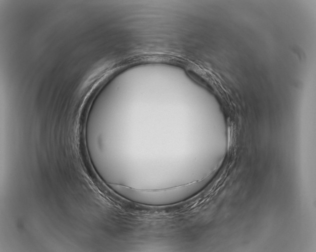 X0000111200243200907011035