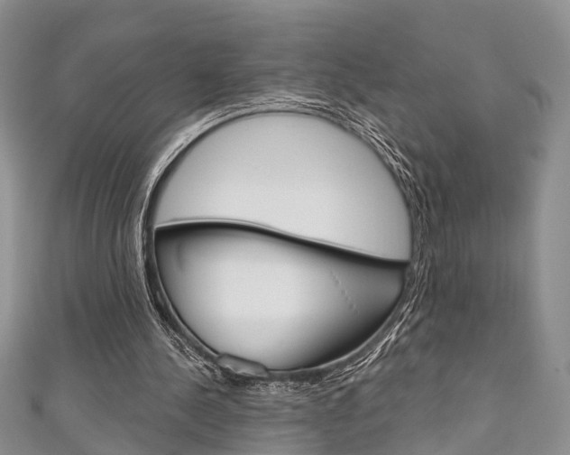 X0000111200244200907011036