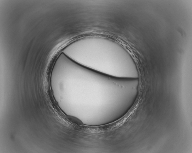 X0000111200245200907011036