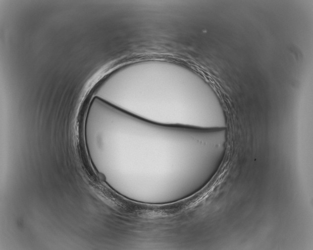X0000111200246200907011036
