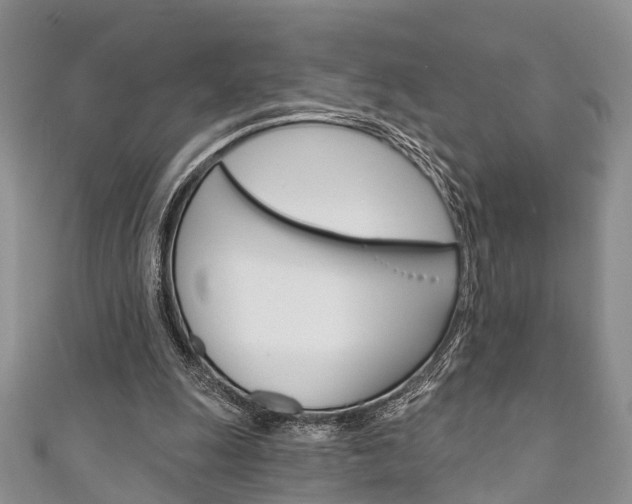 X0000111200247200907011036