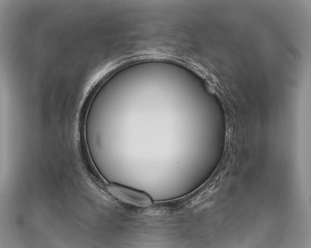 X0000111200248200907011036