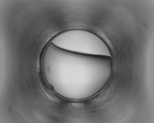 X0000111200251200907011036