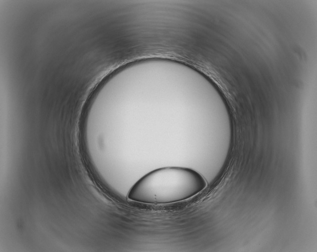 X0000111200252200907011036