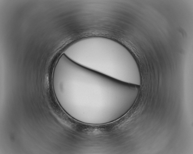 X0000111200254200907011036