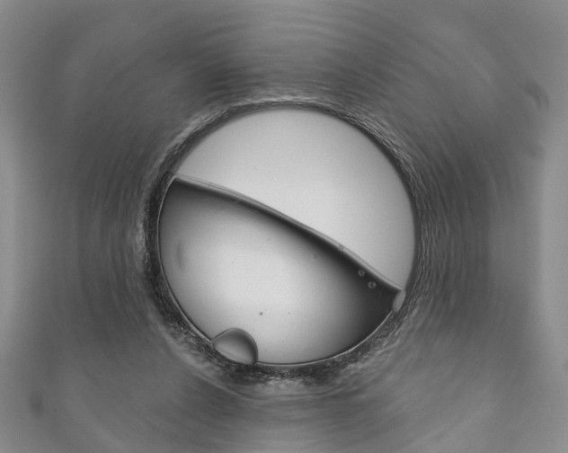 X0000111200256200907011036