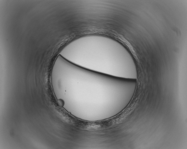 X0000111200257200907011036