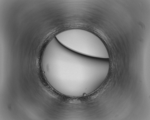 X0000111200258200907011036