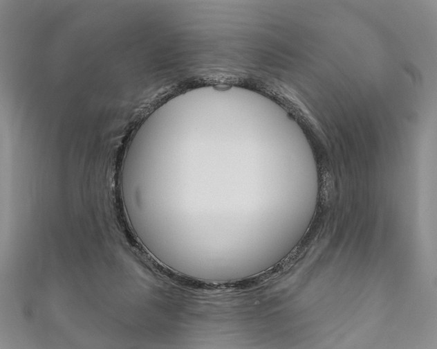 X0000111200259200907011036