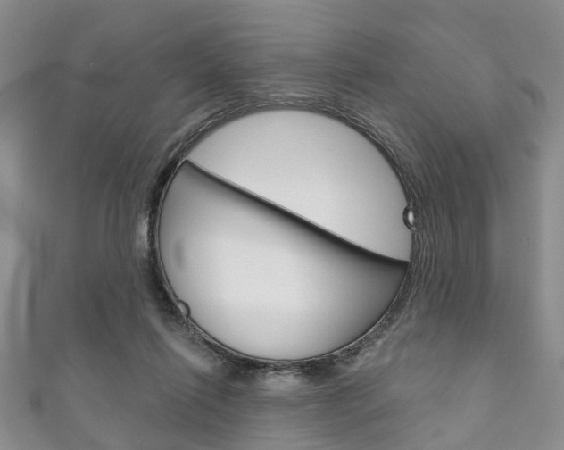 X0000111200262200907011036