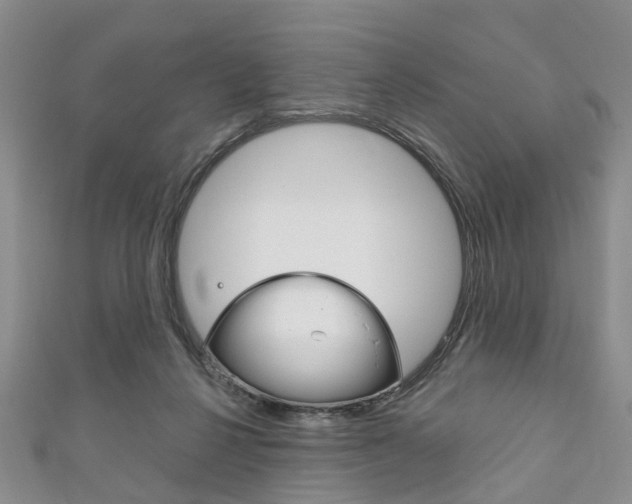 X0000111200264200907011036