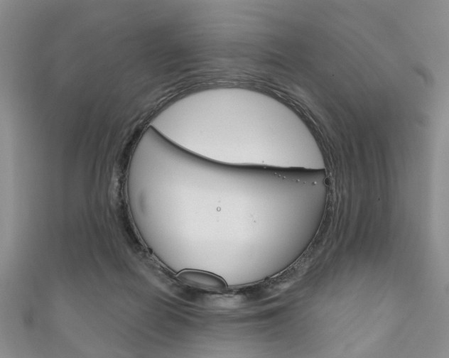 X0000111200266200907011036