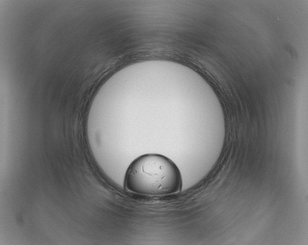 X0000111200268200907011036
