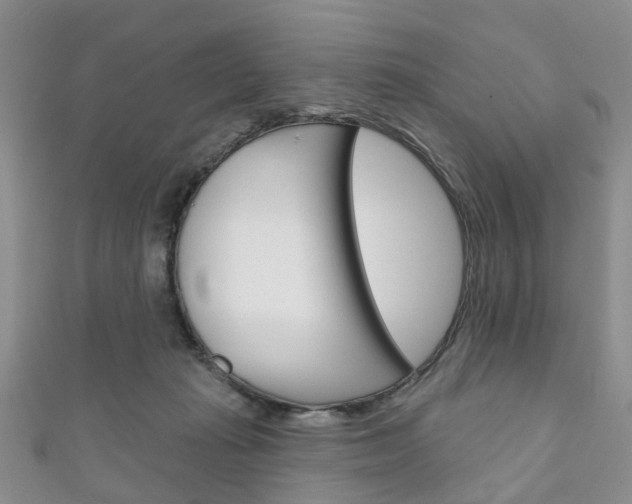 X0000111200269200907011036