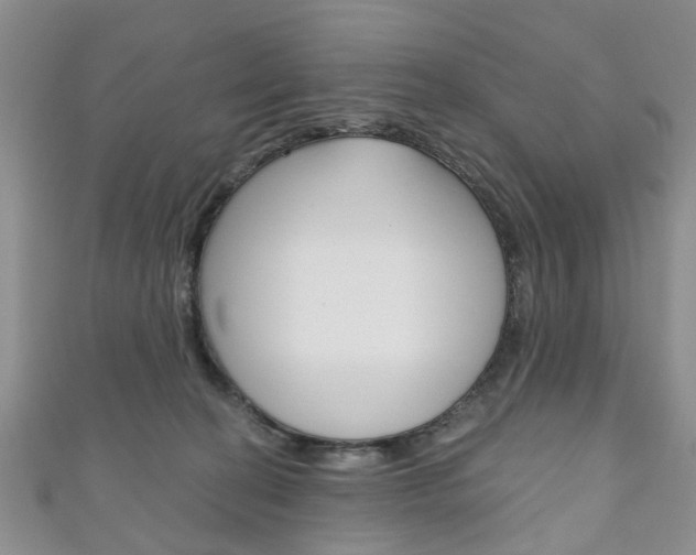 X0000111200274200907011036