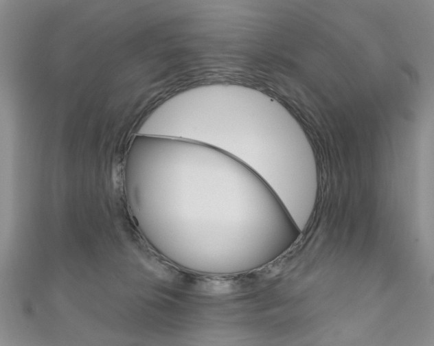 X0000111200276200907011036