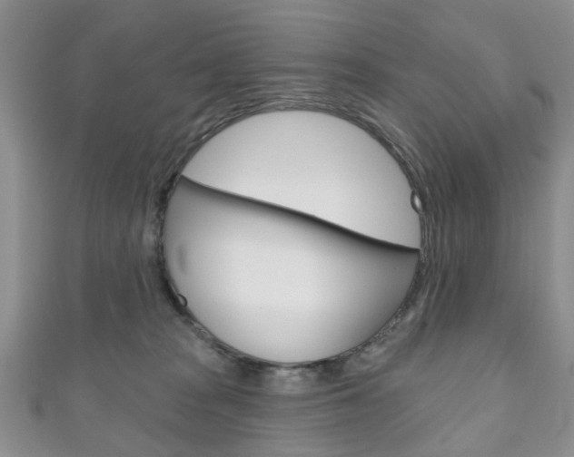 X0000111200277200907011036