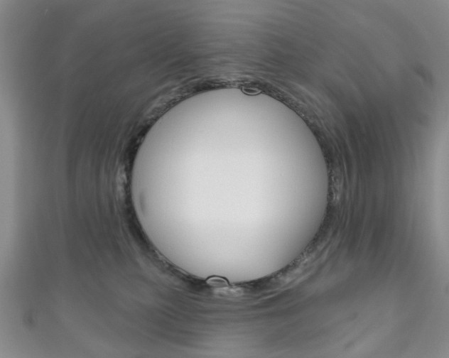 X0000111200279200907011036